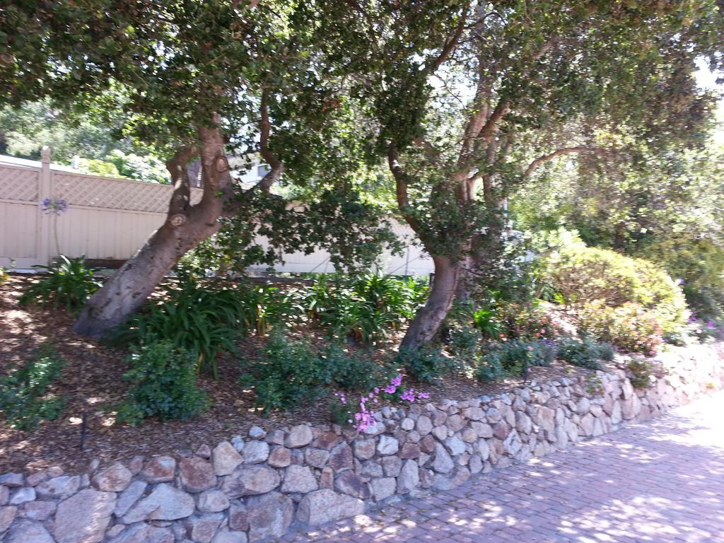 The Vendange Carmel Inn & Suites Εξωτερικό φωτογραφία