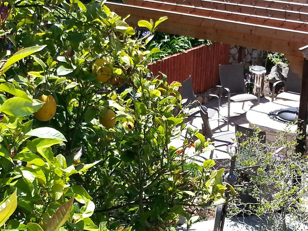 The Vendange Carmel Inn & Suites Εξωτερικό φωτογραφία